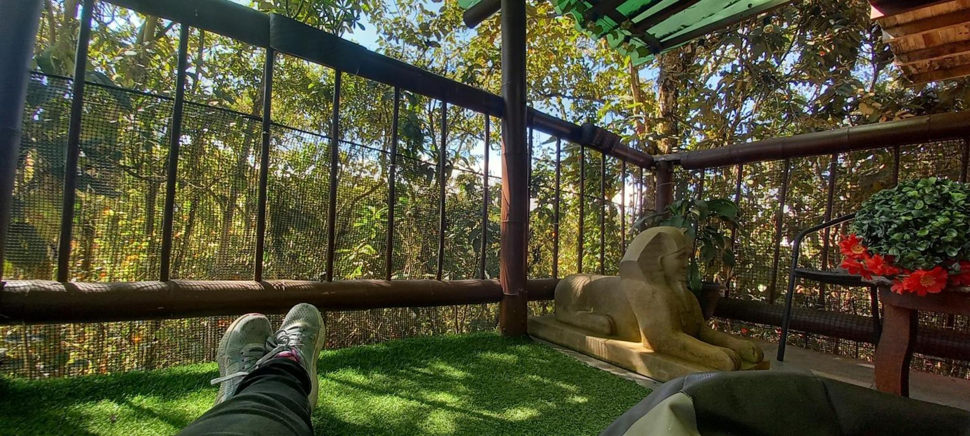 Boresta House -santa Elena Con Vista Al Bosque Y Terraza Privada Apartment